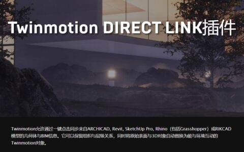 Twinmotion2020.2 DIRECT LINK插件